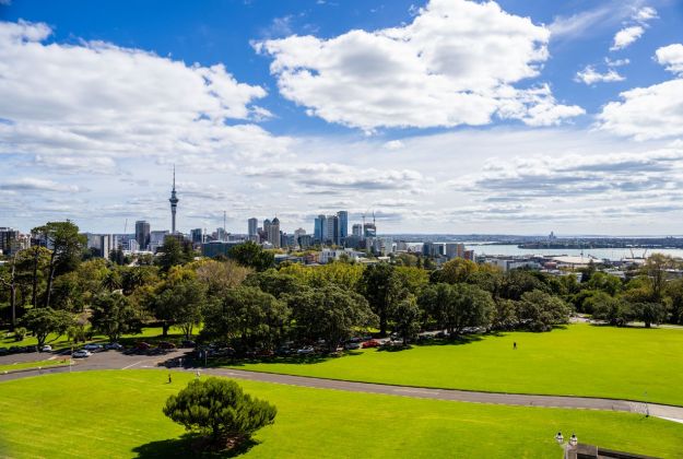 Auckland Domain from Museum